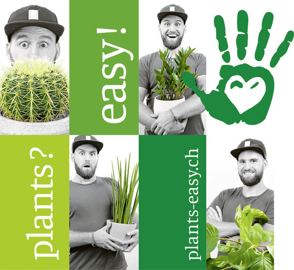 plants? easy!